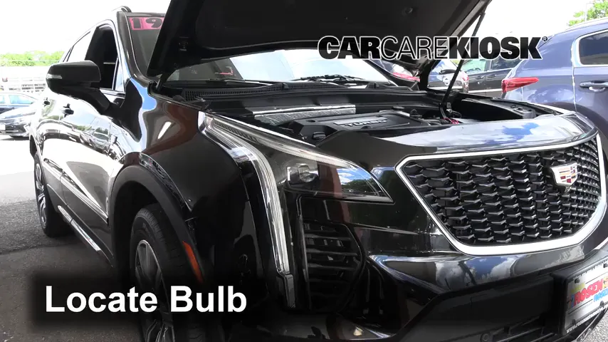 2019 Cadillac XT4 Sport 2.0L 4 Cyl. Turbo Lights Daytime Running Light (replace bulb)